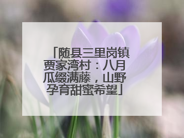 随县三里岗镇贾家湾村：八月瓜缀满藤，山野孕育甜蜜希望